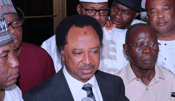 Senator Shehu Sani