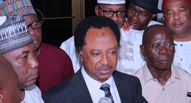 Shehu Sani knocked out by Uba Sani, in Kaduna Central