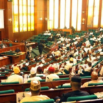 Reps Propose 31 New States: Ibadan, Lagoon, Ijebu, Torumbe Top List