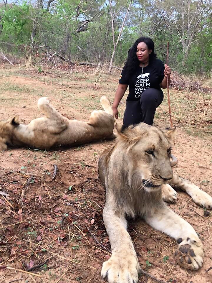 Beauty and the Beast, Jazzy Jess having fun with Lions