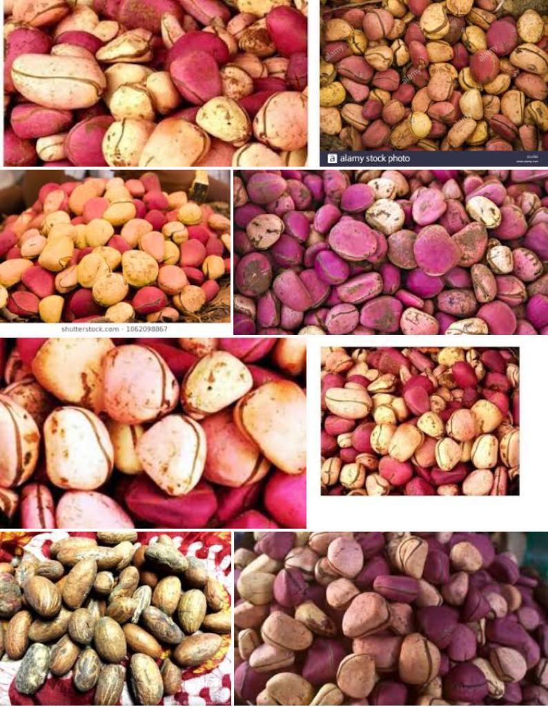 Various kinds of Nigerian Kola nuts sold in Brazil